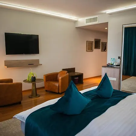 Отель Casa Hrisicos Констанца